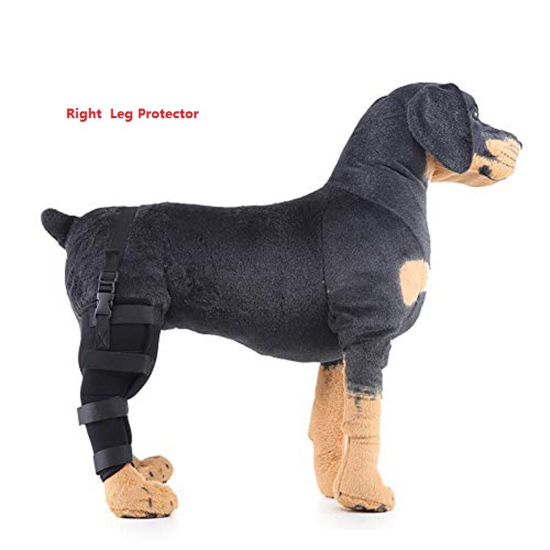 Hundeben efter-rehabilitering benbeskyttelse, ben knæleddet afstiverdækning ledbeskyttelse, postoperativ rollator til hunde: Højre s