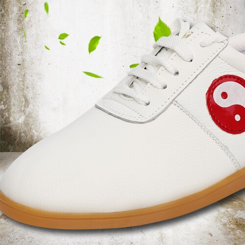 Tai Chi weiche leder schuhe Dichotomanthes ende von frühling sommer frauen Taiji Kung-Fu schuhe schuhe männlichen martialisch leder schuhe Weibliche