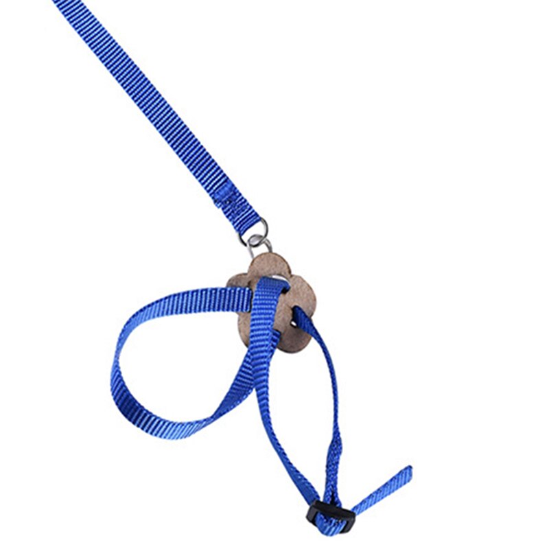 Harness And Leash For Birds Parrot Cockatiel Parakeet Conure Macaw Training Rope 5 Colors