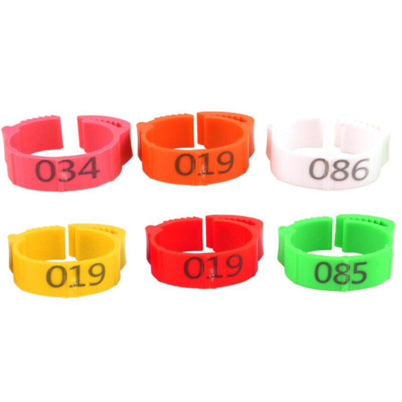 100 pcs/package Bird And Pigeon Foot Ring Color Identification Ring Opening Poultry Foot Set Foot Identification Tool