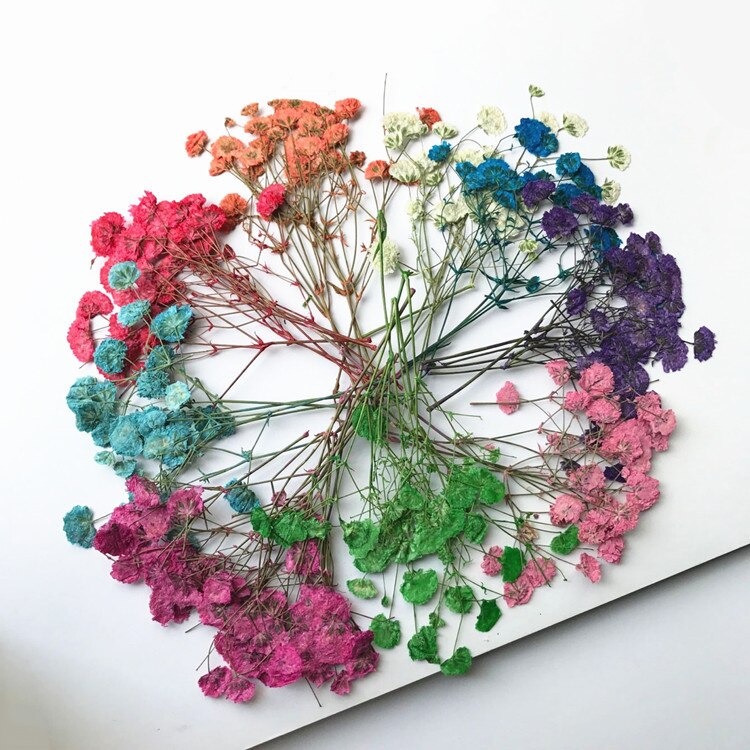 10PCS/Lot DIY Transparent Envelope Envelope Wedding Invitation Birthday Party Invitation Envelope: DIY Dried Flowers