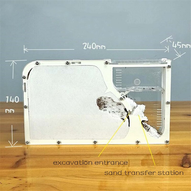 Big formicarium Ant Nest ,Ant Farm Acrylic Insect ants house Ecological Workshop