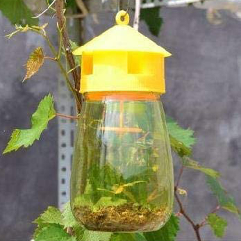 Fly Reusable Traps, Fruit Fly Traps Fly Catcher Outdoor