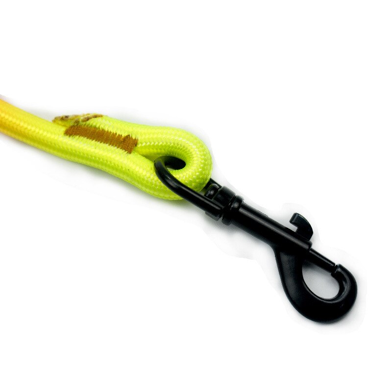 Arcobaleno di colore Rotondo Guinzaglio Del canna Doppio Filo di nylon animale domestico Guinzagli Nero gancio di Trazione Corda per Harnesss collare di canna A Piedi Cavi