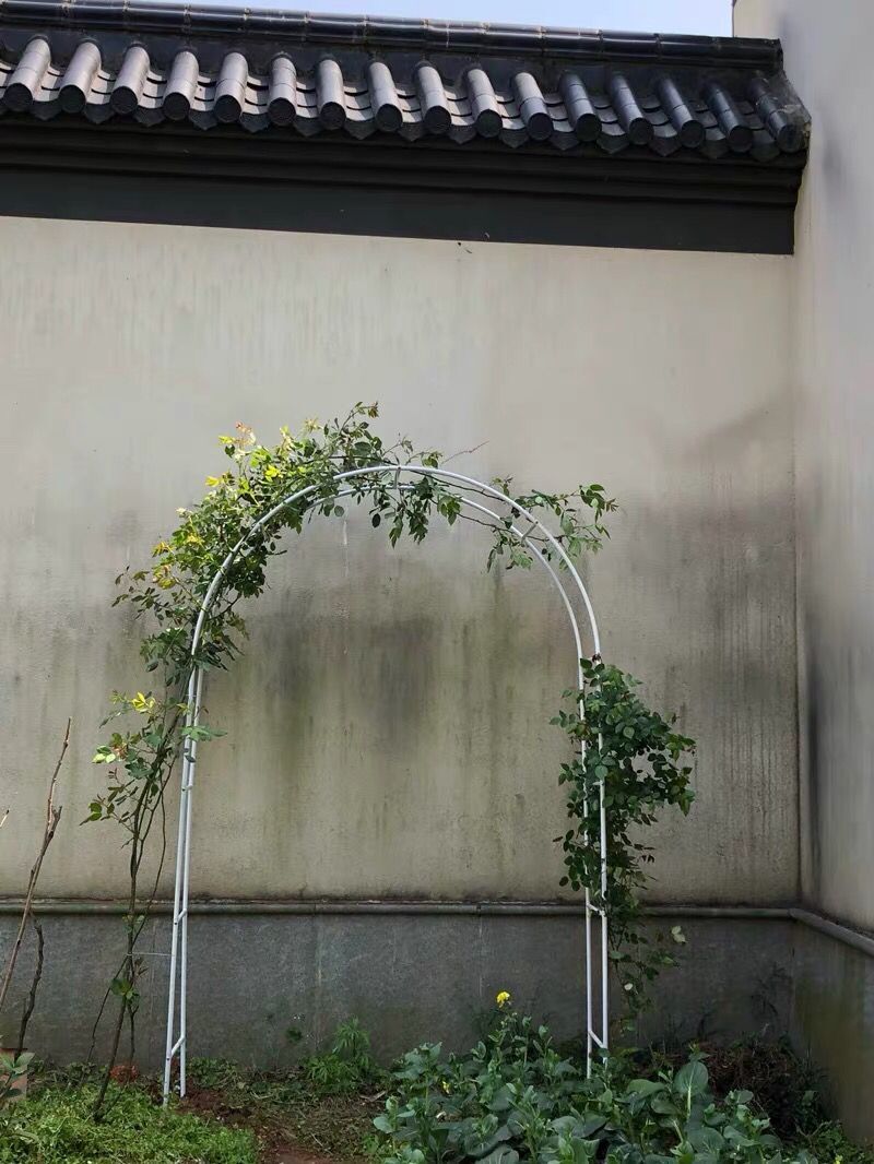 240 x 140cm metal bryllup bue pergola have bagtæppe stand buer vintage bryllup dekoration centerpieces diy bryllup favor: Hvid