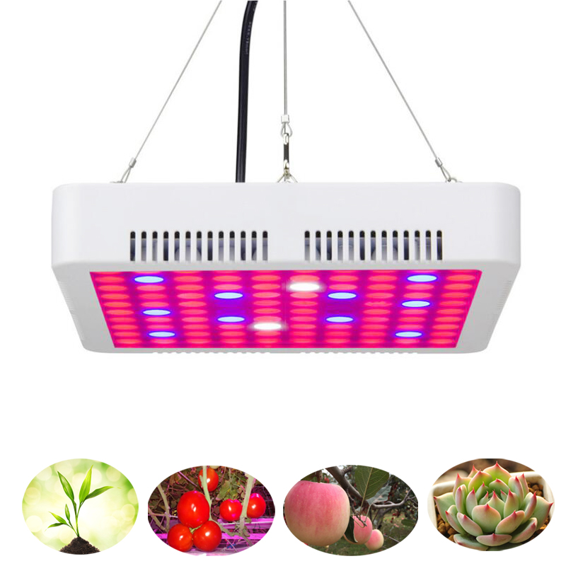 300W LED grow light volledige spectrum phyto plant groei lamp voor indoor Plantaardige zaailing Bloem zaailing tent fitolampy