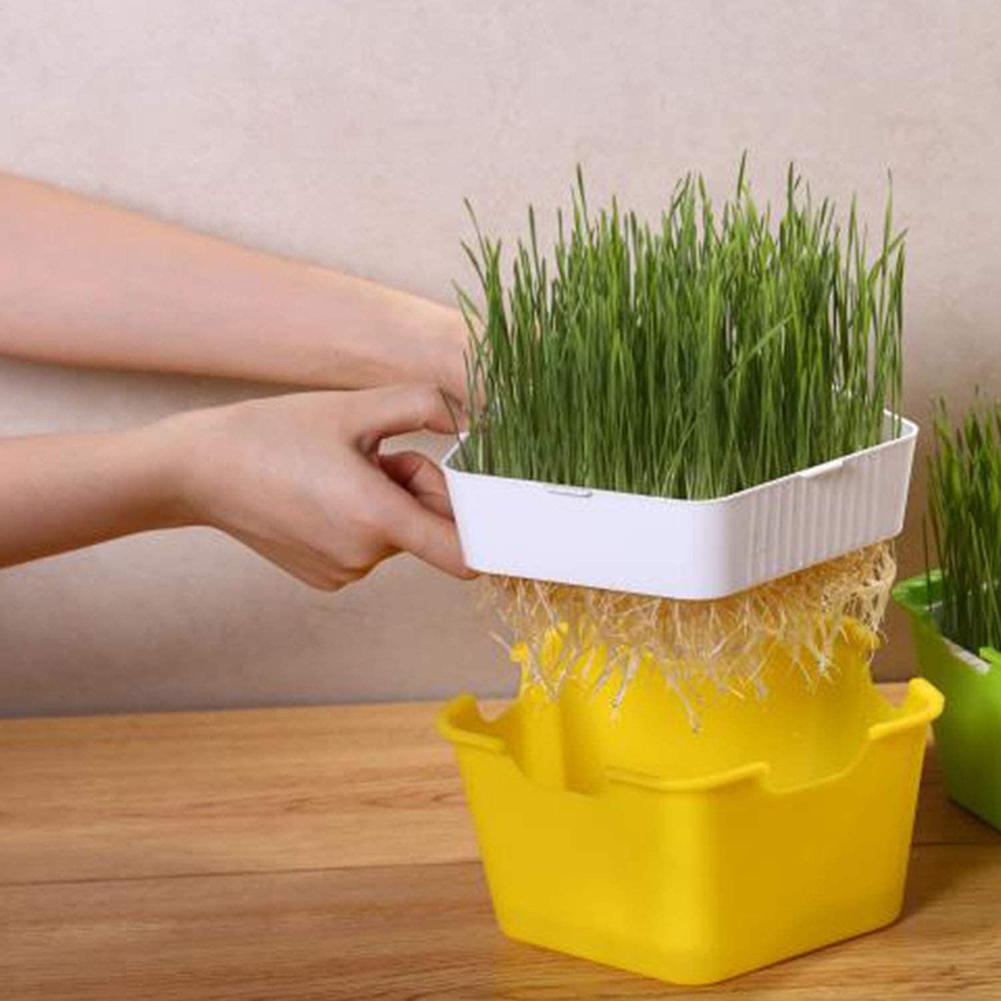 Plant Germination Tray Portable Moisture Proof Planting Box Multifunctional Sprouting Seeds Tray With Cover Gardening
