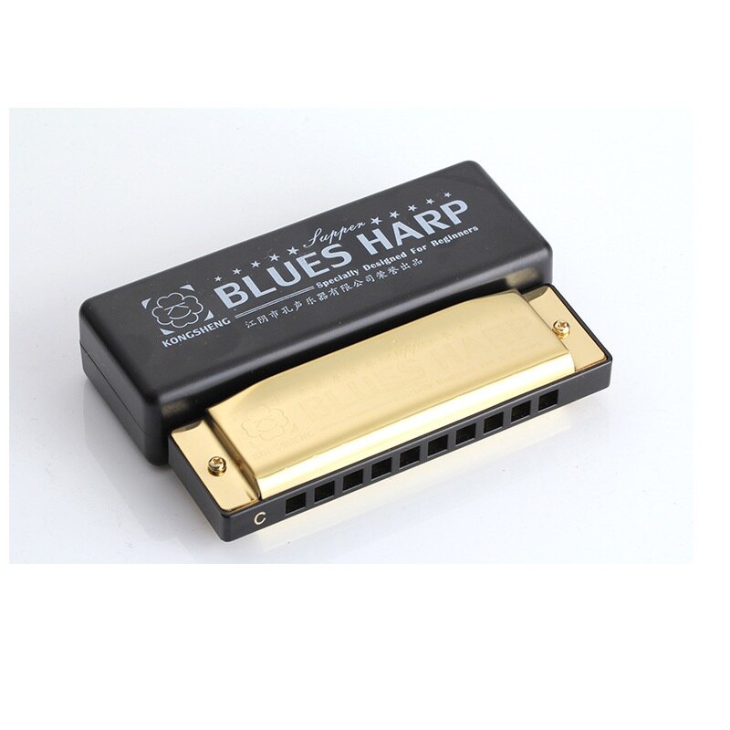 Uitstekende 10 Hole Blues Harmonica Met Case Messing Rvs Armonica Professionale Harmonica Blues
