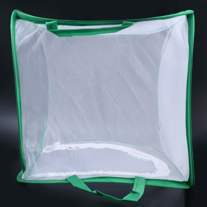 Neue Insekten Und Schmetterling Lebensraum Käfig Terrarium Pop-Up 12X12X12 Zoll (Weiß + Grün)