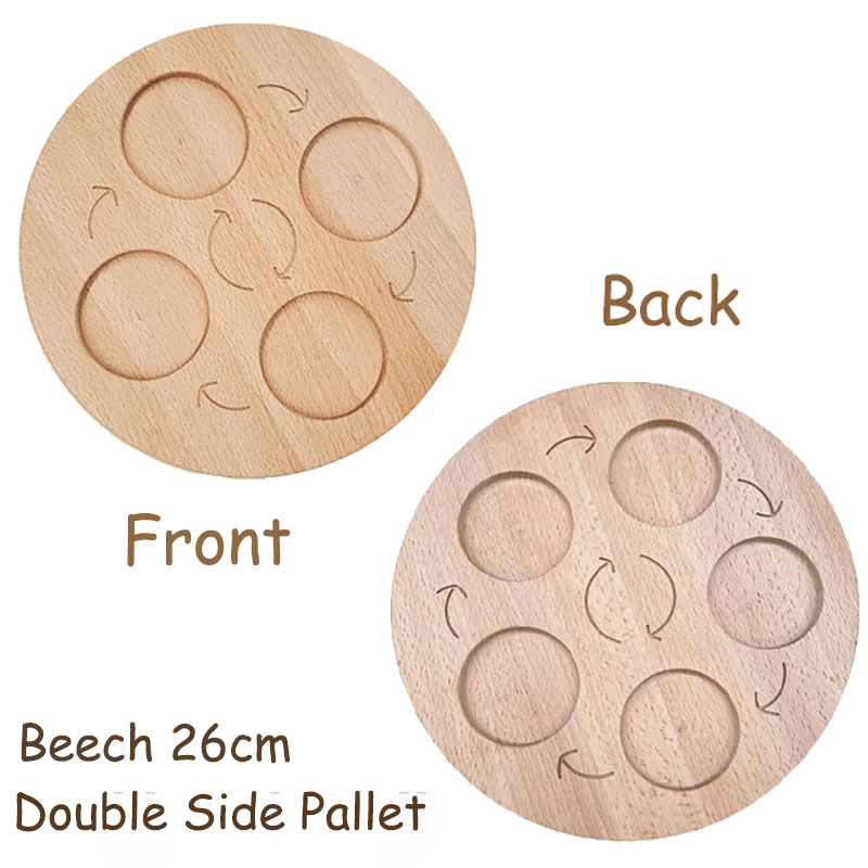 Bordo del ciclo di vita animale in legno giocattoli per bambini supporti didattici Montessori ciclo di crescita delle piante modello Set giocattoli educativi per la scienza della vita: Beech Double Side