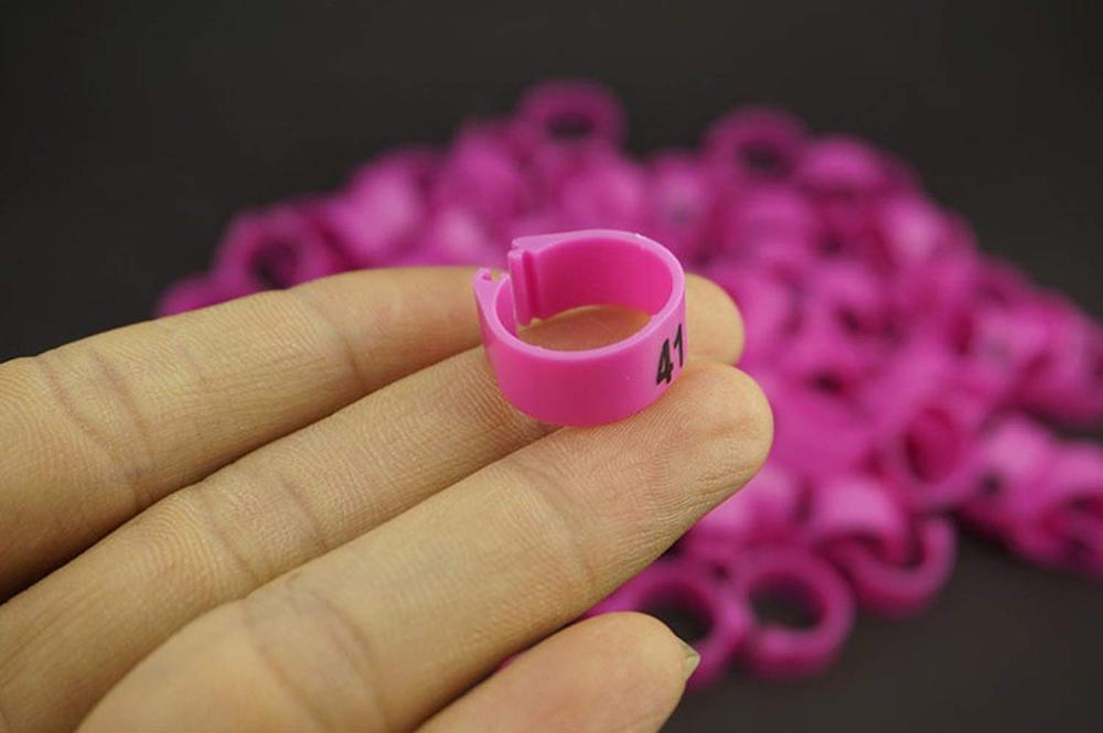 (Pack of 100 Pcs) ，(14mm) Bird Leg Bands Pigeon Chicks Duck Goose Parrot Bantam Poultry Pet Rings ，1-100 Numbered，Pink