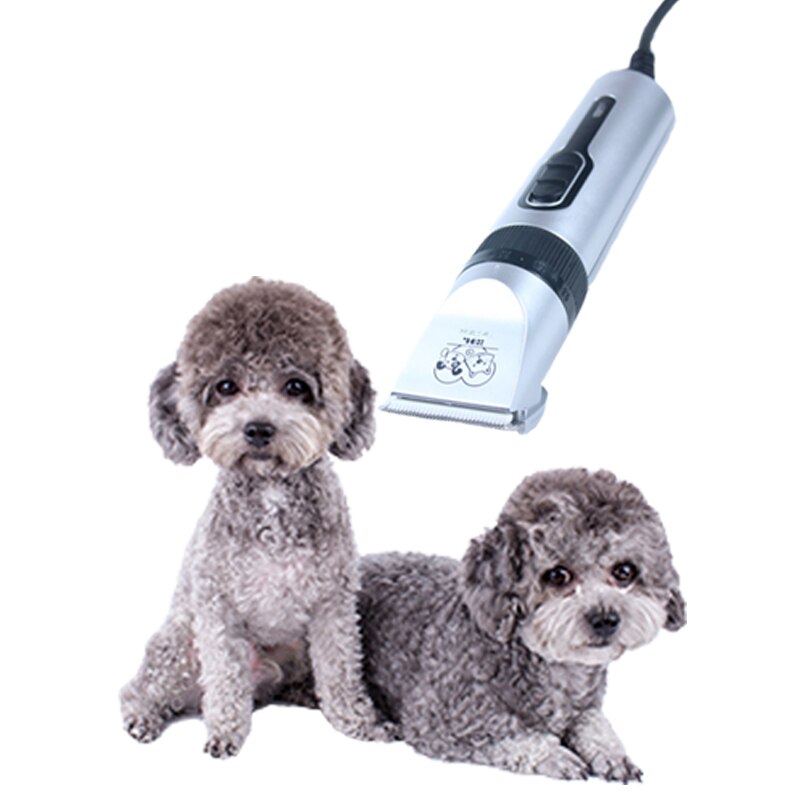 Calming Your Dog for a Stress-Free Nail Cutting Experience