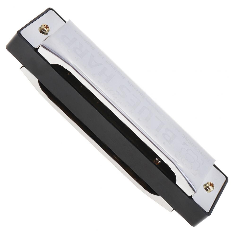 10 Holes Harmonica Diatonische Blues Harp Mondharmonica Muziekinstrument Rvs Voor Kinderen