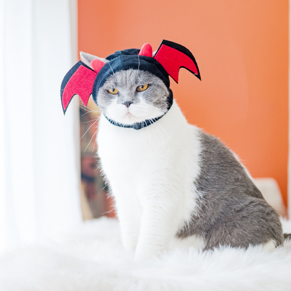 Leuke Kat Hoofddeksels Leuke Panda Hoed Pet Hoed Pet Kat Hond Halloween Hoofdtooi Kleine Dier Hoed Kat Kruis Jurk kat Assessoires