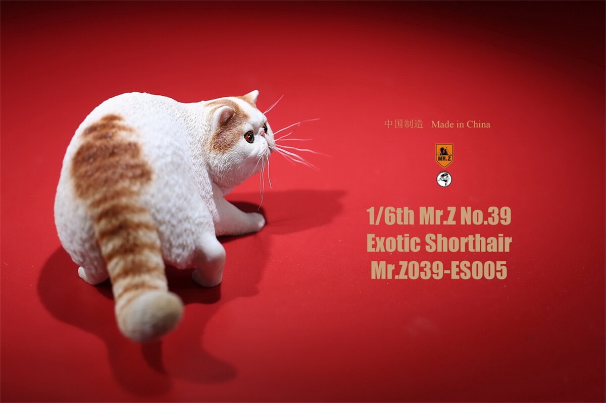 Mr.Z Studio 1:6 Exotic Shorthair Cute Cat Pet Animal Model Collector Toys Kitten Small Accessories Decoration simulation: 005