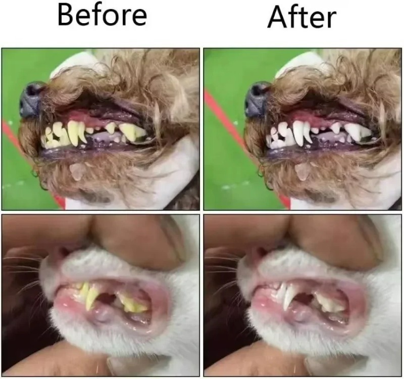 Cepillo de dientes de silicona para mascotas, cuidado Dental para perros y gatos, aliento malo, limpieza de dientes de sarro, suministros para mascotas de gel de sílice para el hogar
