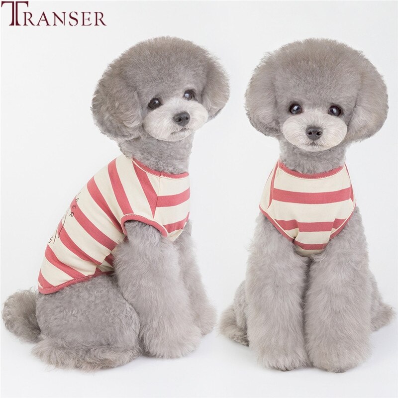 Transer ROCK papier lettre imprimer rayé chien gilet petit chien vêtements d'été chiot débardeur 205