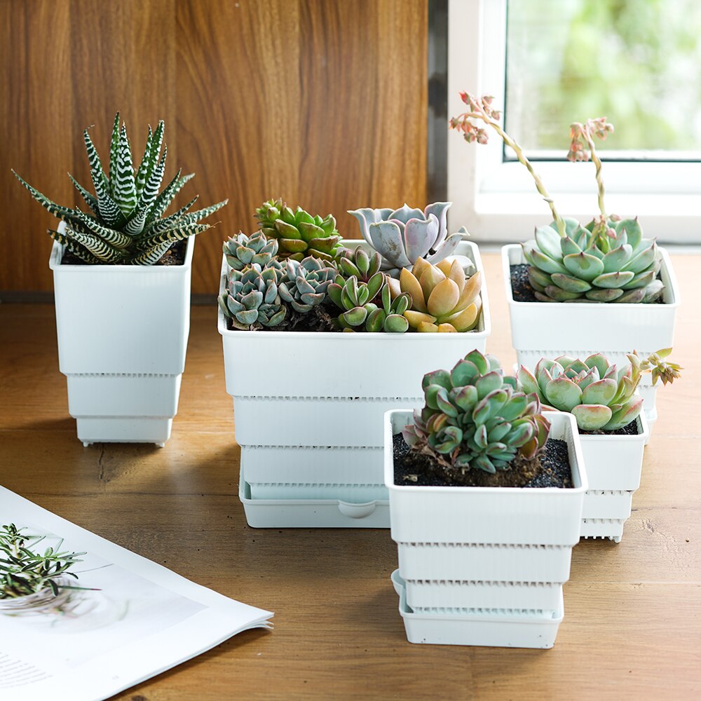 Pot en maille 6cm 7 cm 10 cm 12 cm 15 cm Pots succulents Lithops Jardinière de cactus Pot de fleur en plastique Bon Drainage avec trous d'air