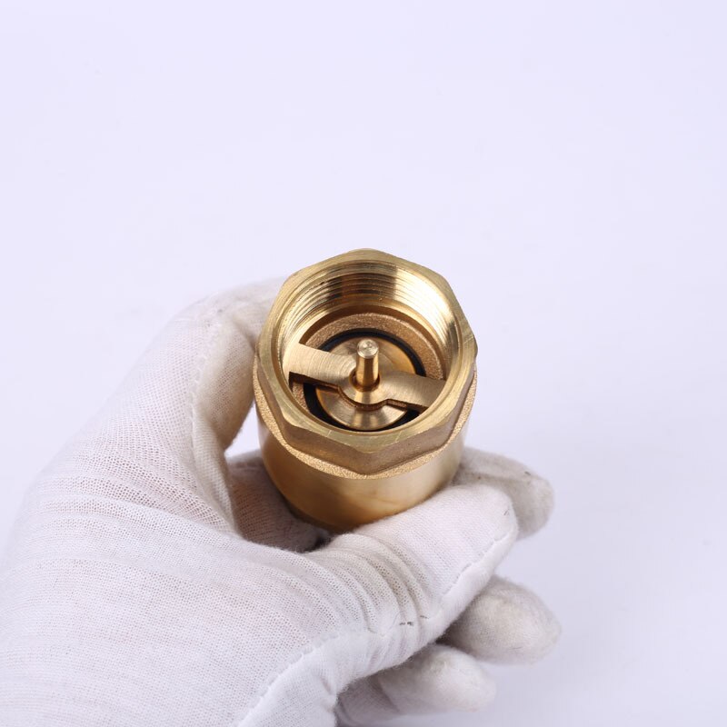 Brass In-line Spring Check Valve Thread One Way Check Valve for Liquid Gas AUG889