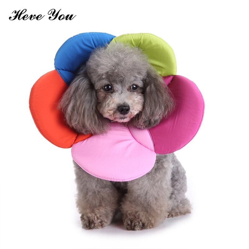 Collar inflable Heve You para mascota, Collar para Perro, Collar para Perro de recuperación suave, Collar para Perro, cuello para heridas, prevención de curación de heridas