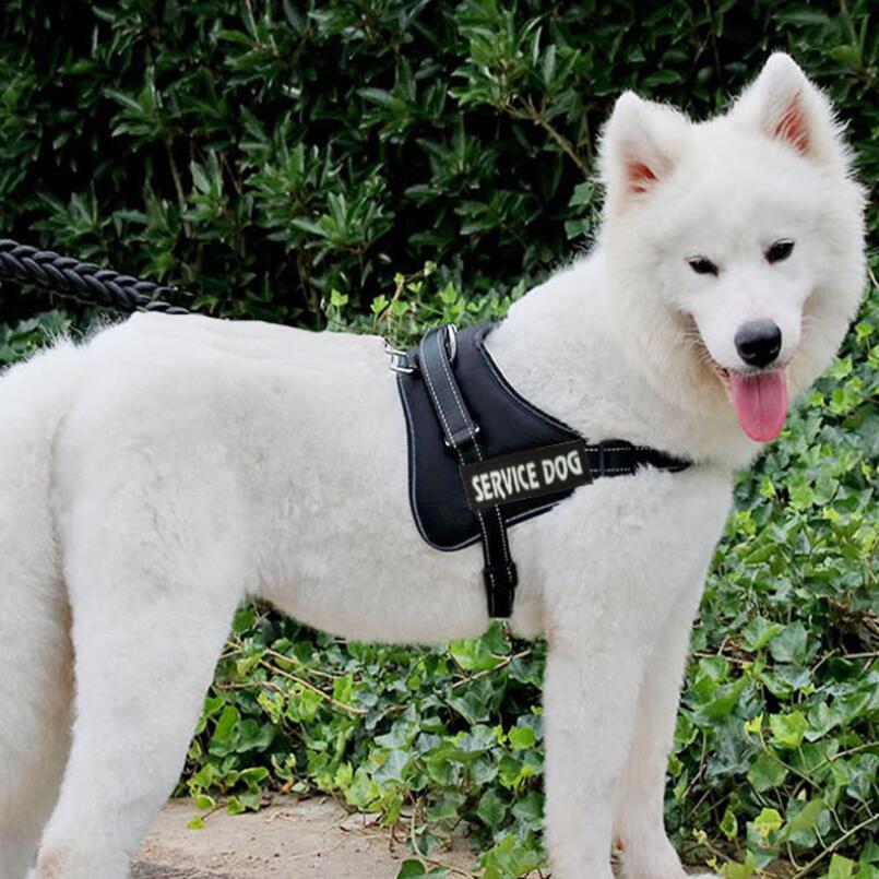 Chaleco elástico con correa cóncava para perro, arneses de tracción con estampado X9 de policía, para perros medianos y grandes, de: black / M
