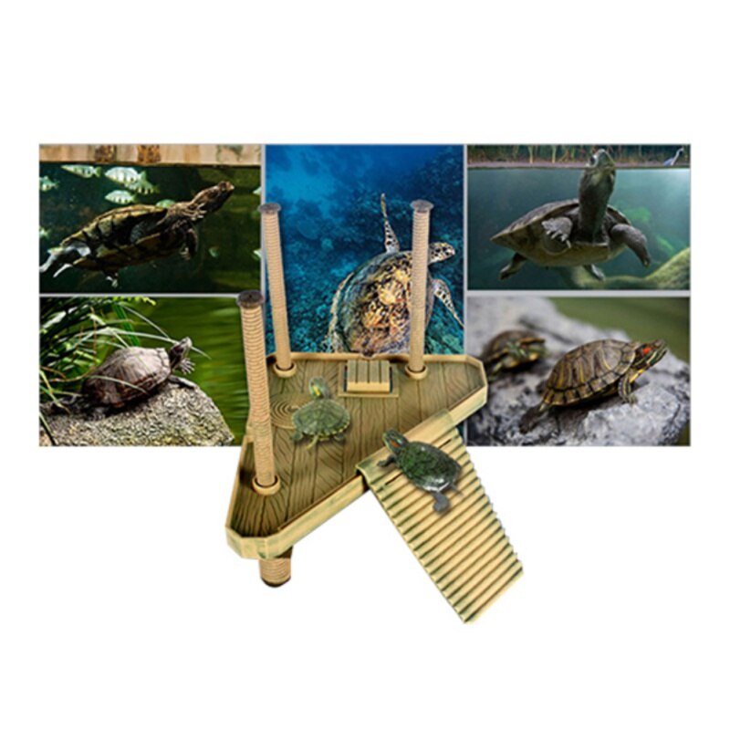 Multi-Functional Turtle Drying Back Platform Climb... β Grandado