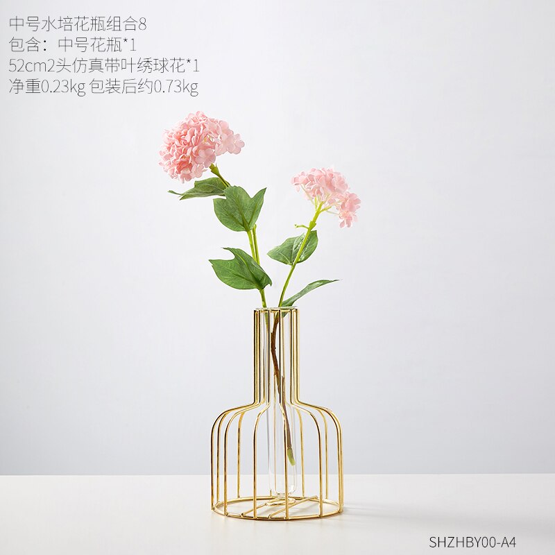 Transparante hydrocultuur glazen vaas decoratie thuis scandinavische gouden vaas vazen voor bloemen klein terrarium woonkamer decoratie: F