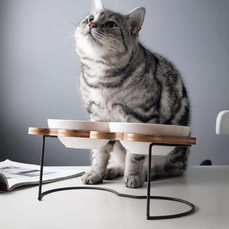 High-End Huisdier Kom Verschillende Cartoon Patronen Rvs Plank Keramische Kom Voeden En Drinken Kommen Voor Hond en Kat