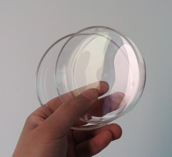 6 stuks 150mm glazen petrischaal met deksel, cultuur schotel, lab glaswerk