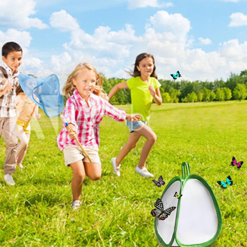 Siedlisko owadów i motyli małe zwierzę klatka owadowa klatka obserwacyjna motyla czysta roślina siatka przeciw insektom