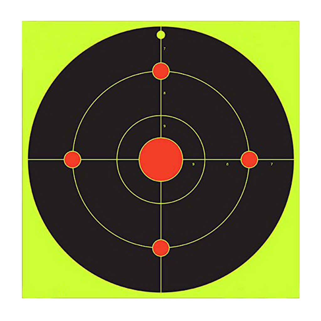 10pcs Fluorescent Target Shoot Arrow Archery Pasters