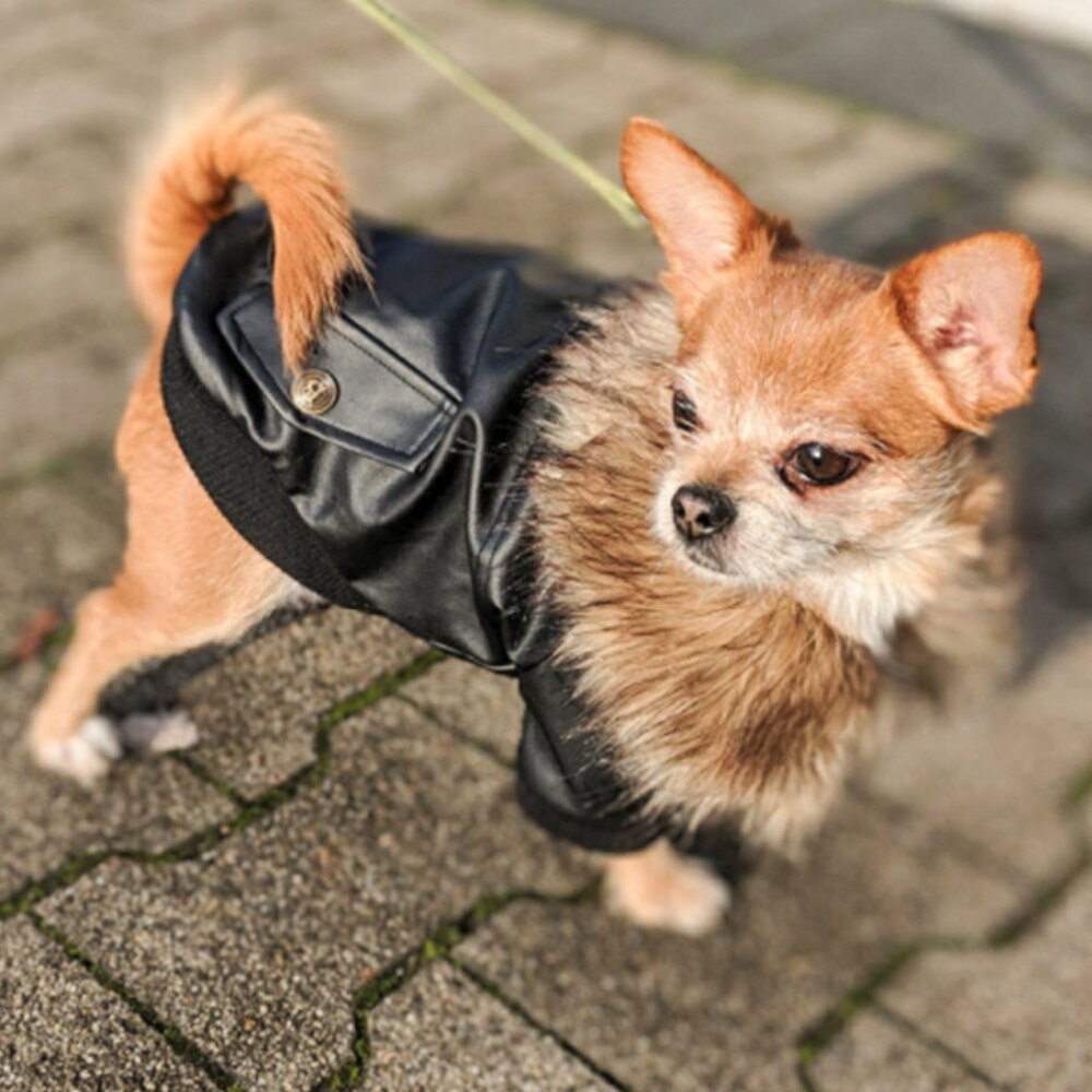 Hond Kleren Hond Lederen Winter Jassen Warm Puppy Jassen Kleding Hoodies Voor Kleine Middelgrote Honden Puppy Outfit S-2XL