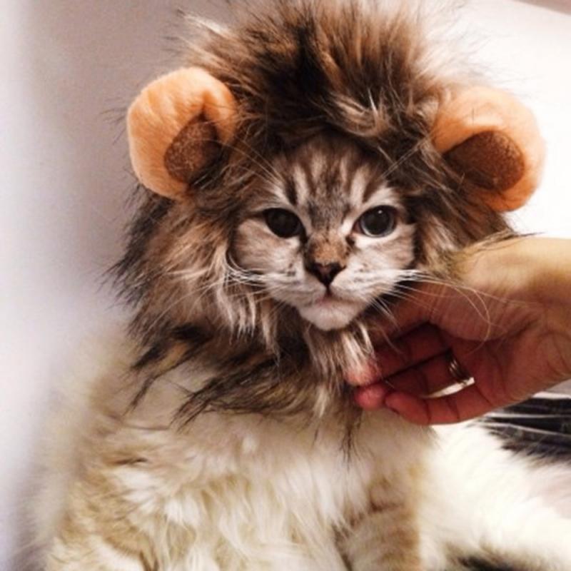 Funny Cute Pet Cat Costume Lion Mane Hair Cap Hat For Cat Dog Halloween Christmas Clothes Fancy Dress With Ears Cat Costumes