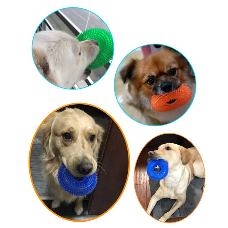 Squeak Chew Pet Toys for Large Dogs Golden Retriever Training Funny Circular Ring of Hawthorn Interactive Toys Dog Toothbrush