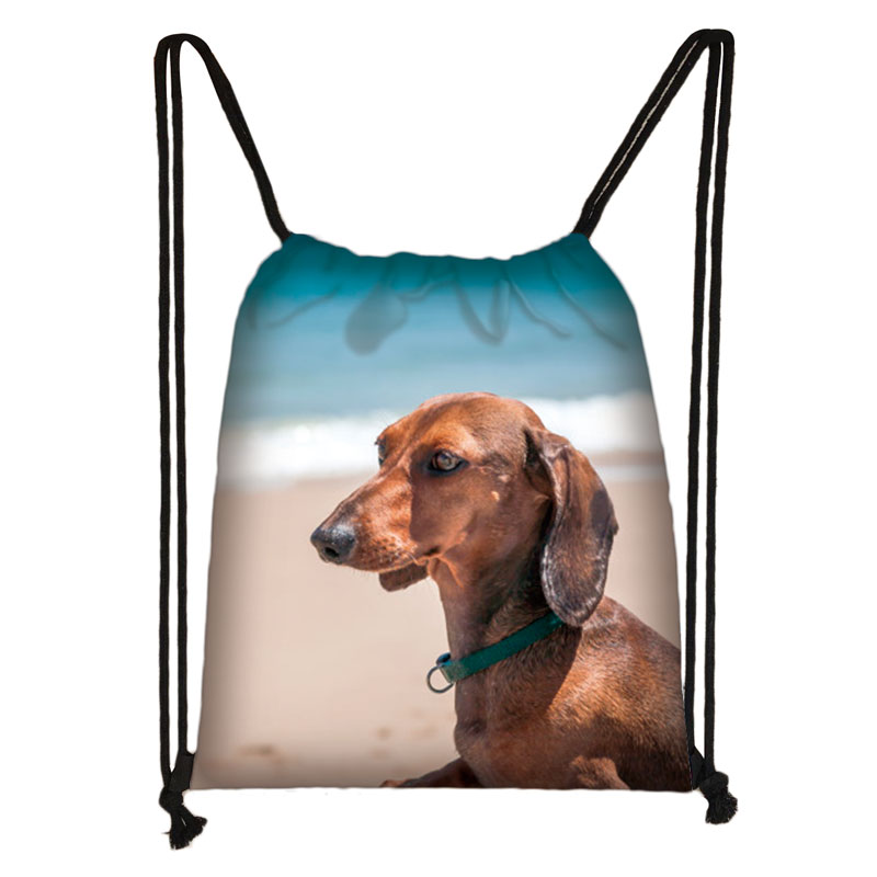 Schattige Teckel Hond Tasje Vrouwen Mannen Opbergtas Voor Reizen Tiener Jongens Meisjes Rugzak Partij Boodschappentassen: skdlapigous15