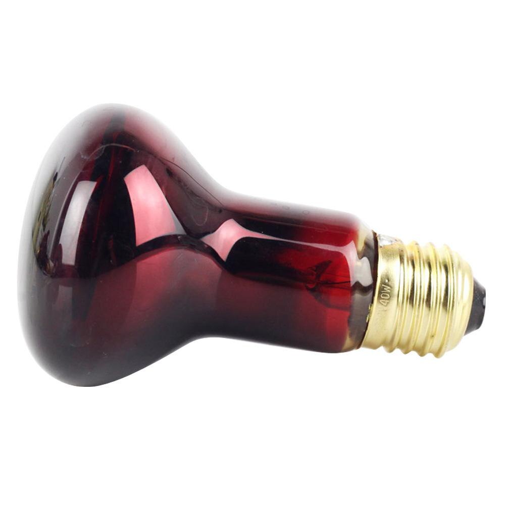 Bombilla calefactora infrarroja R63, 60W, E27, lámpara de fisioterapia
