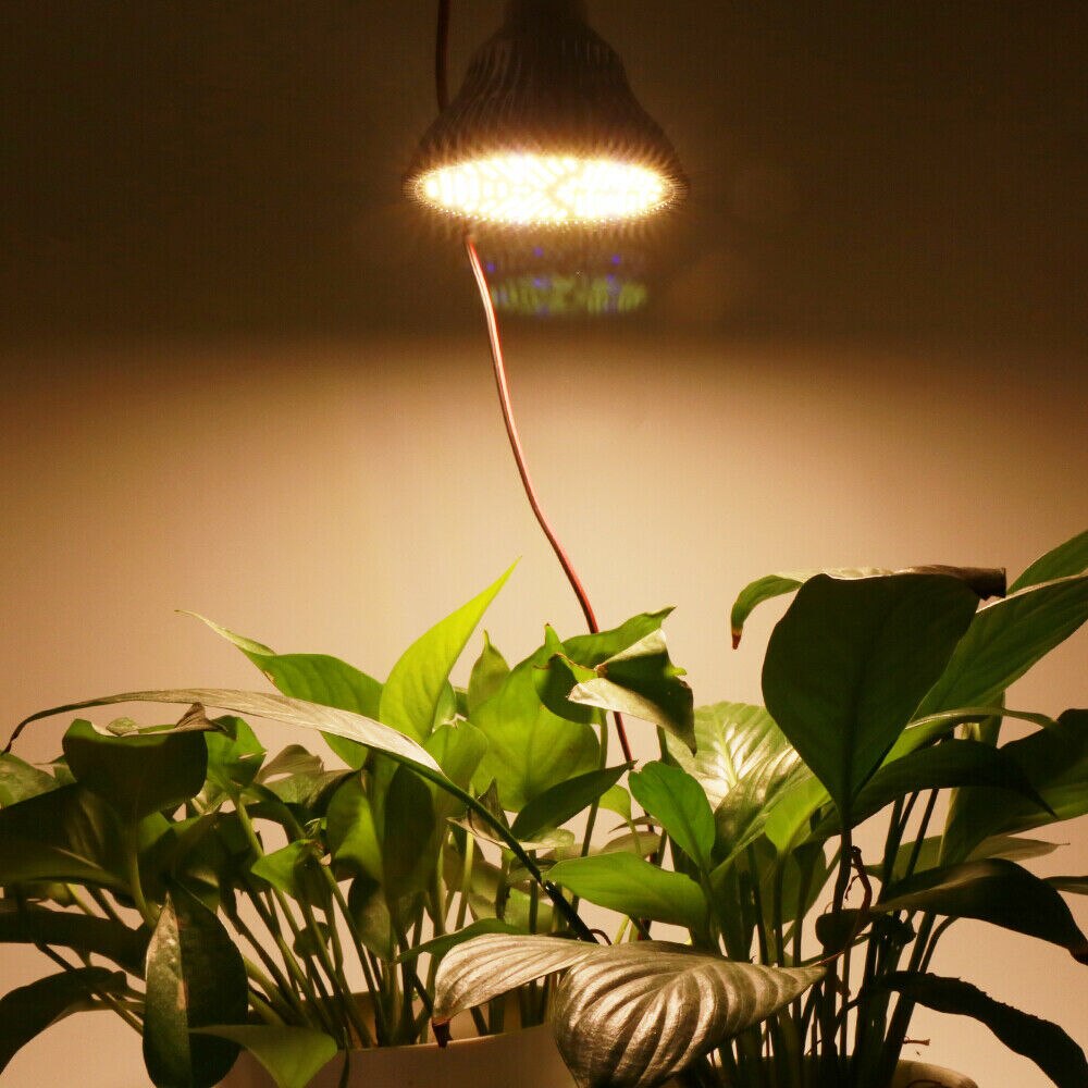 100W Warm White LED Grow Light 150LEDs Plant Lamp Fito Led Bulb for Plants Flowers Garden Vegs E27