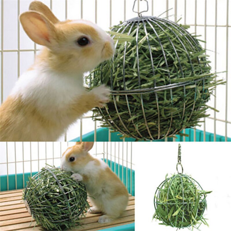 Abedoe sfär foder dispensera träning hängande hö boll marsvin hamster kanin husdjur leksak