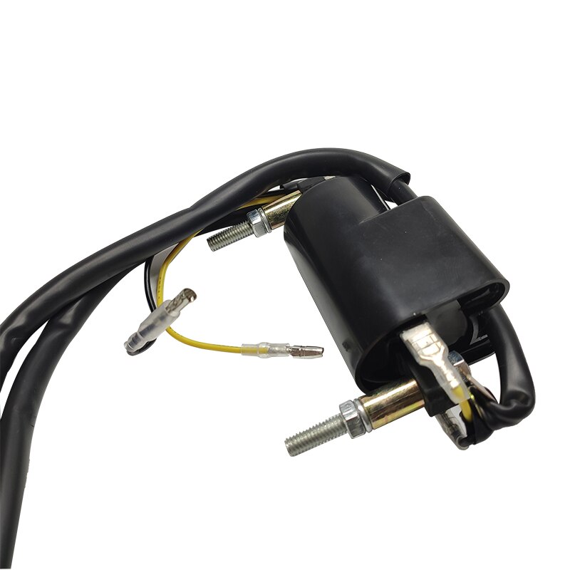 Bobine Set 12 Volt 12 V 4 Ohm Dual Output Bobine Voor Suzuki GS/GSX R /GV Madura Metal & Plastic