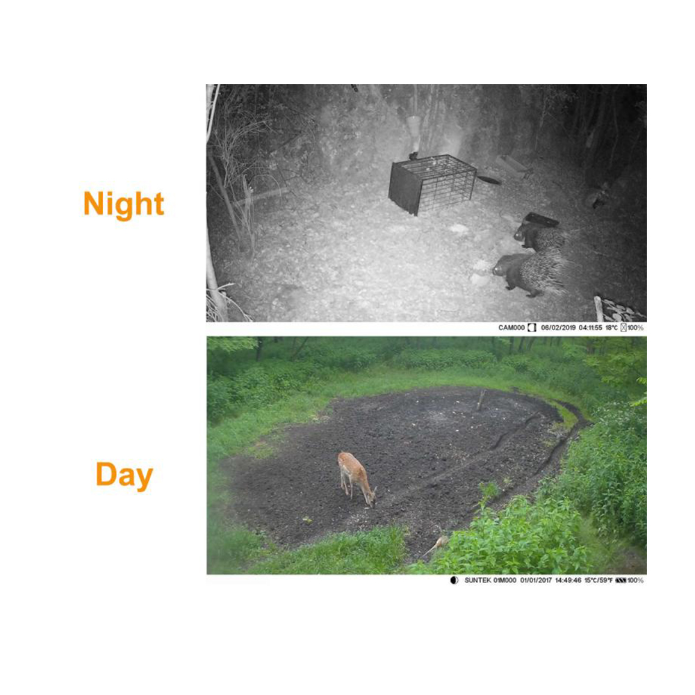 Digital Trail Camera Wildlife Camera Photo Traps Camera Waterproof IPX6 Capture Wildlife Photo for Hunting Outdoor OS37-0038