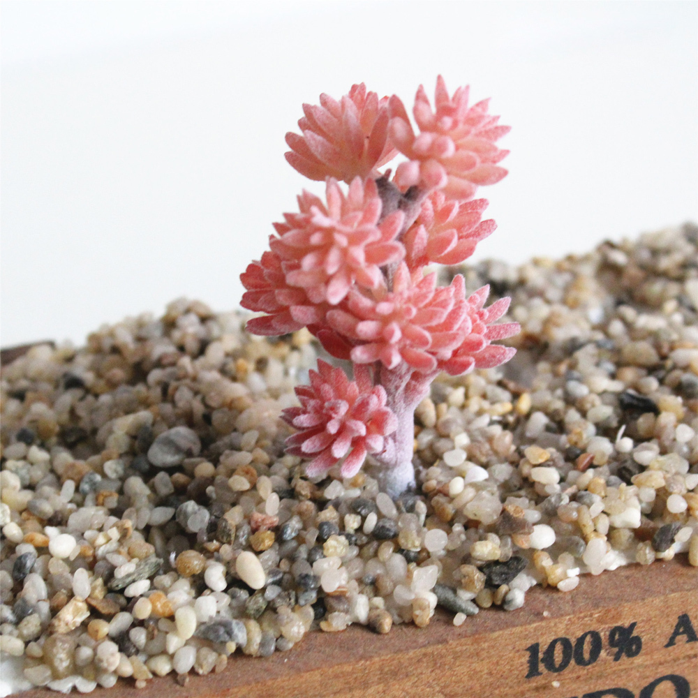1 Pcs Mini Artificial Succulent Plants For Home Decoration Green Plastic Faux Cactus Succulents Simulation For DIY Arrangements