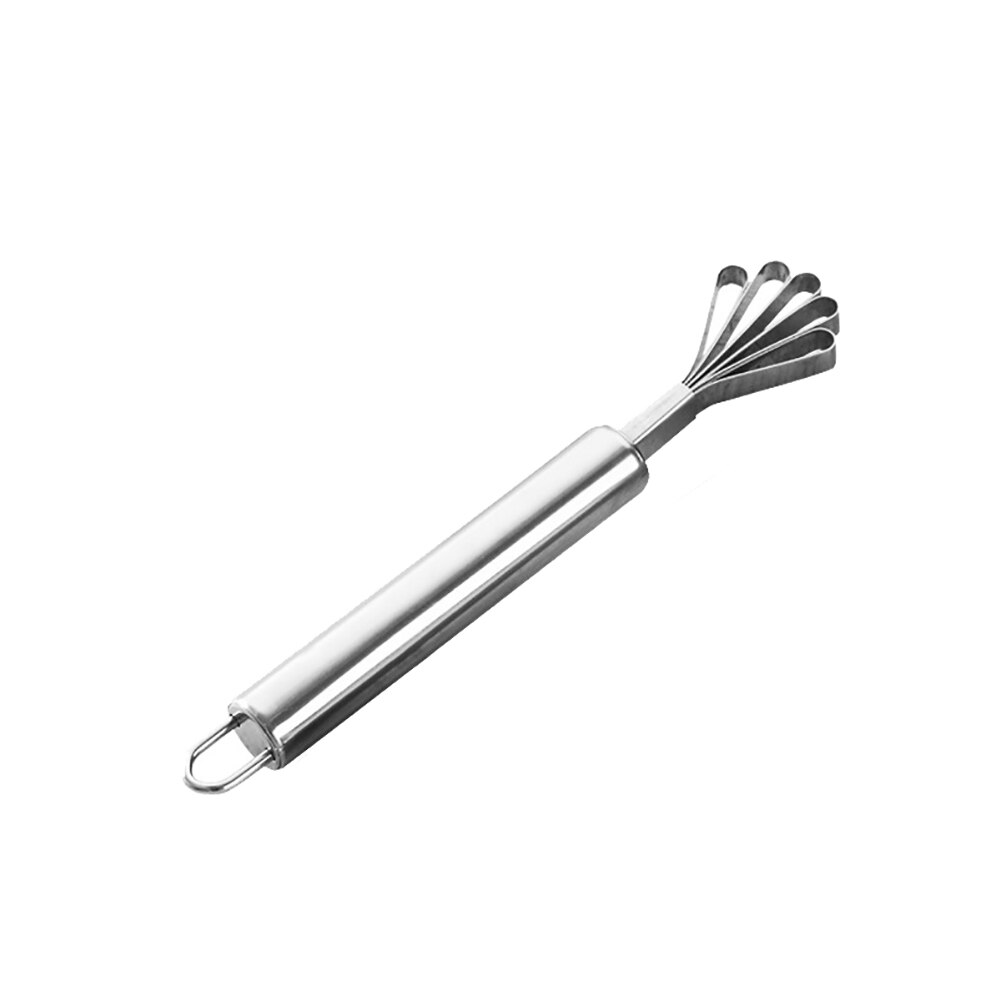 Rasuradora de coco, herramientas para frutas de cocina de acero inoxidable, espátula para pescado, pelador, herramienta de limpieza, accesorios de cocina