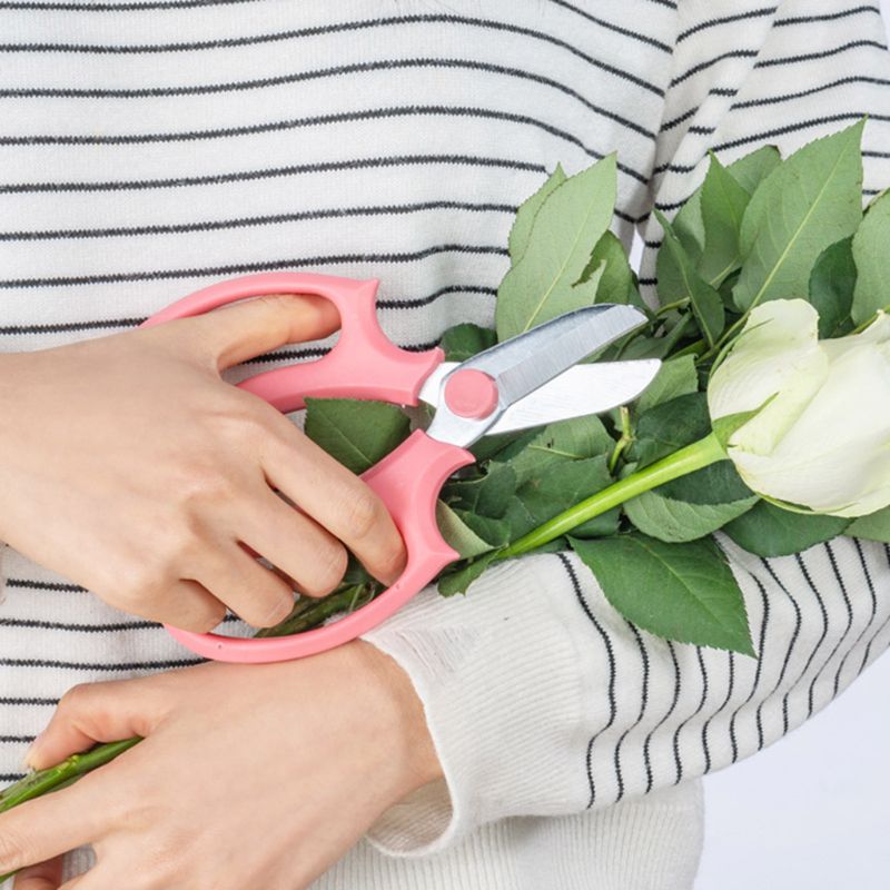 Arrondie Droite Cisailles Ciseaux D'élagage de Jardin En Acier Inoxydable Durable Jardinage Sécateur Branche Sécateur Coupeur