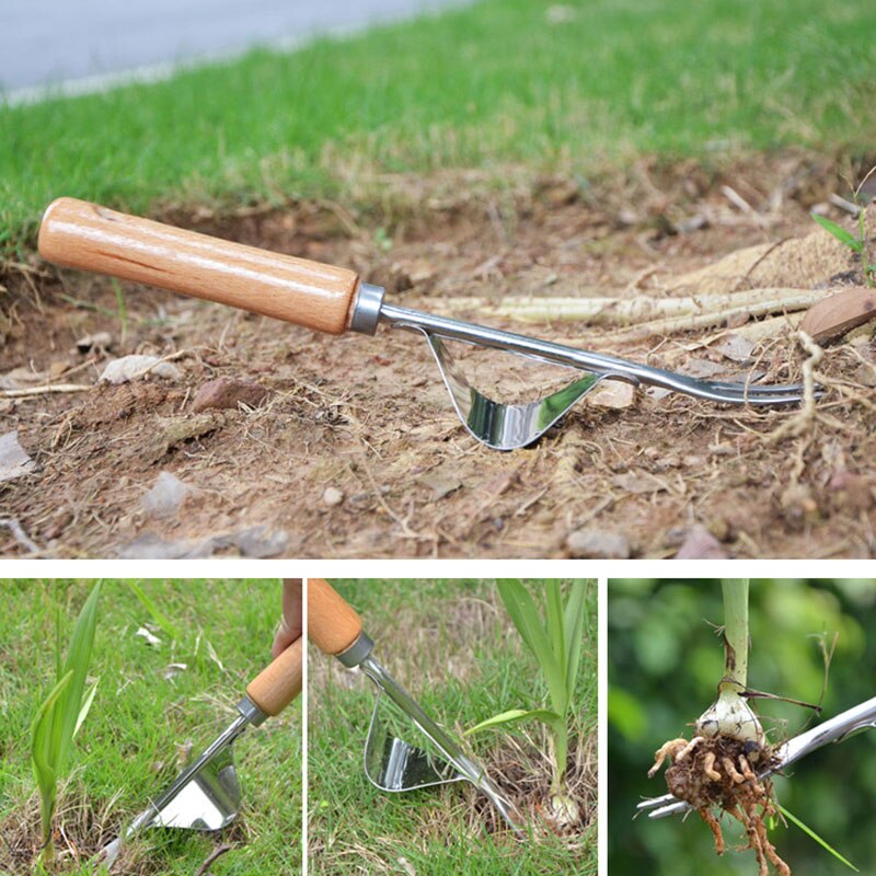 Outil de désherbage manuel en acier inoxydable, désherbeur manuel de jardin pour enlever les chardons de pissenlits et autres mauvaises herbes, outils de jardinage pour creuser la pelouse
