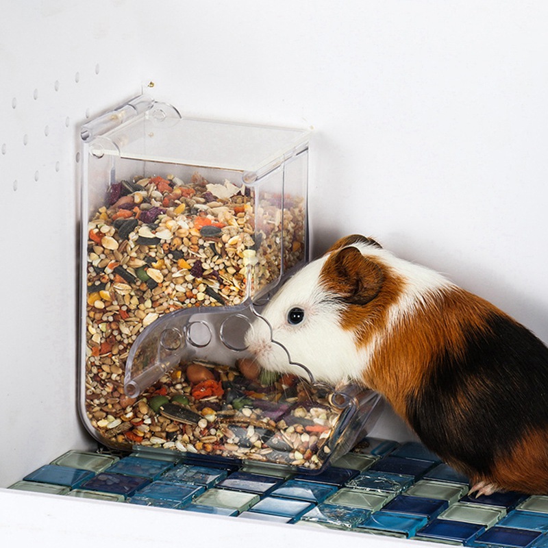 Husdjur plast transparent hamster matare marsvin mat skål behållare kan ekorre igelkott anti-flip handfat automatisk matare