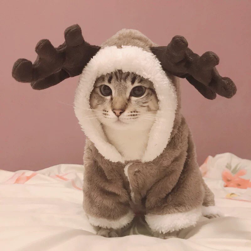 Vinterkattkläder varm fleece husdjursdräkt för små katter kattunge jumpsuits kläder kattrockjacka husdjur hundkläder: Xs