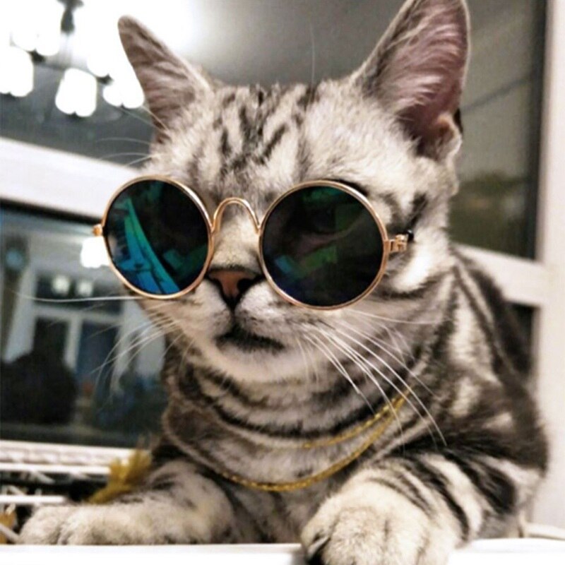 Kæledyrs kæledyrsbriller til kæledyrsprodukter øje-slid hund kæledyr solbriller fotos rekvisitter tilbehør kæledyrsforsyning kattebriller
