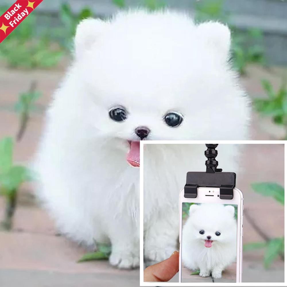 Puppy Selfie Stok Staaf Hond Kat Foto Schieten Speelgoed Mobiele Telefoon Clip Pet Supply