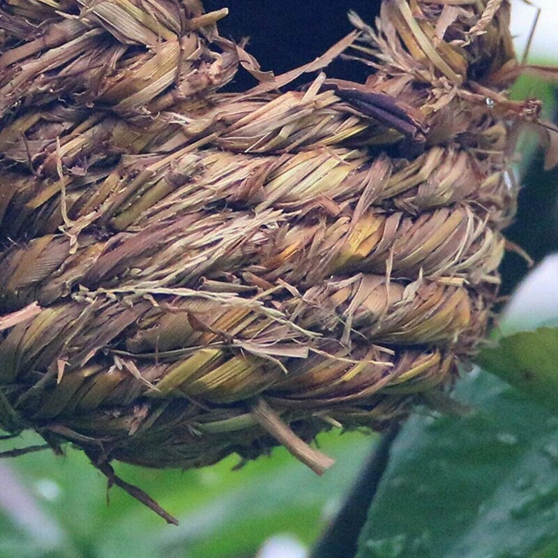 Stro Motbestendig Vogelnest Ventilatie Outdoor Protector Stevige Neergestreken Vogel Nest Comfortabele Onderdak