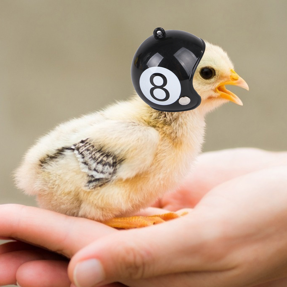 Kreative Nette Graffiti Huhn Helm Haustier GeflüGel Vogel Ente Kopfbedeckungen Hütte